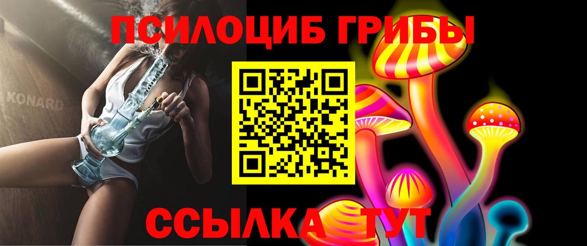 Псилоцибиновые грибы мицелий Фрязино