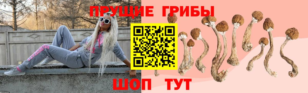 Галлюциногенные грибы мухоморы  Галлюциногенные грибы ЛСД  Вход с VPN  Фрязино 